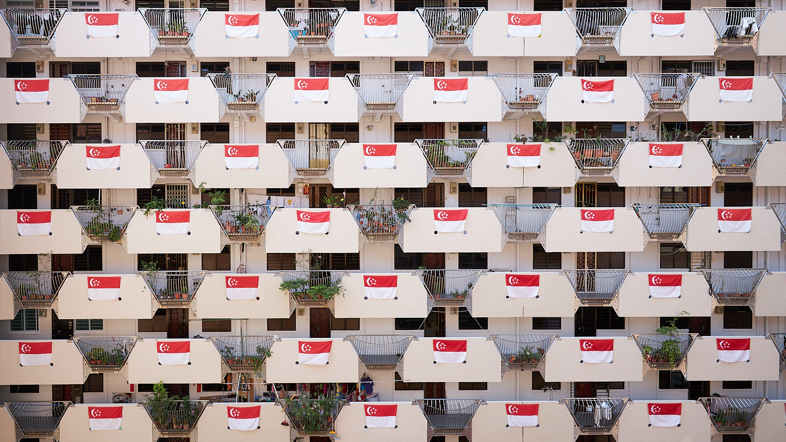 Singapore flags display at a HDB housing flat.
