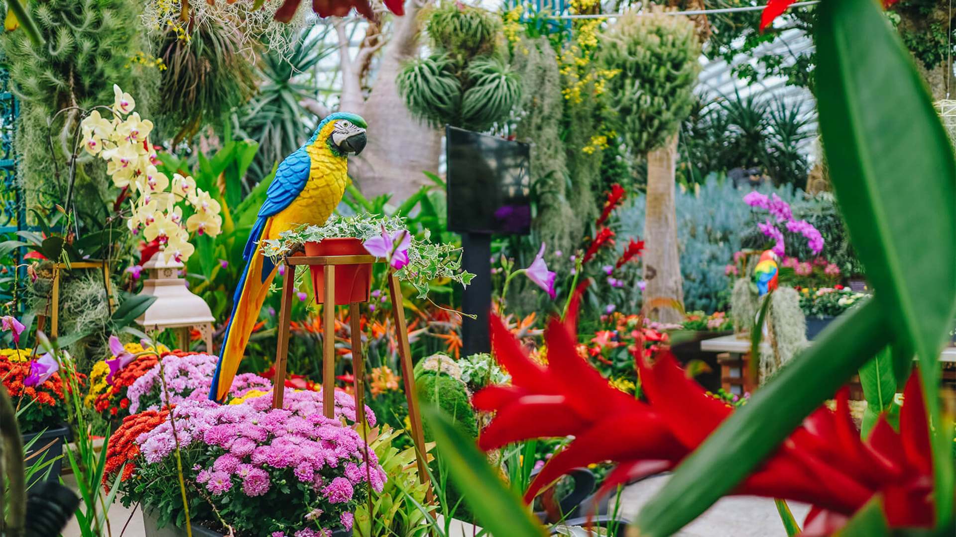 Pocket Gardens Surprise: An Urban Oasis at Gardens by the Bay
