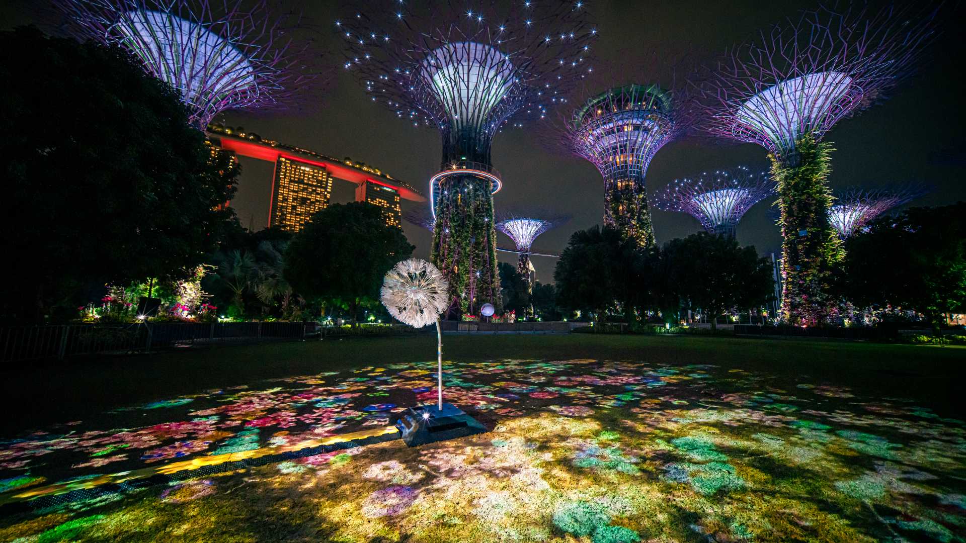 Dandelion at Gardens by the Bay