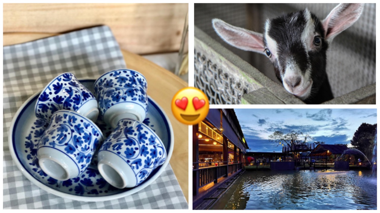 Romantic date spots in Mandai and Kranji, from farms and trails to wildlife parks, for a rustic, nature-filled getaway.