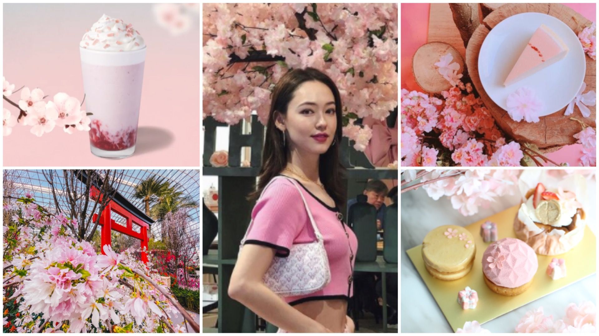 Eat, drink and experience cherry blossoms all around Singapore.