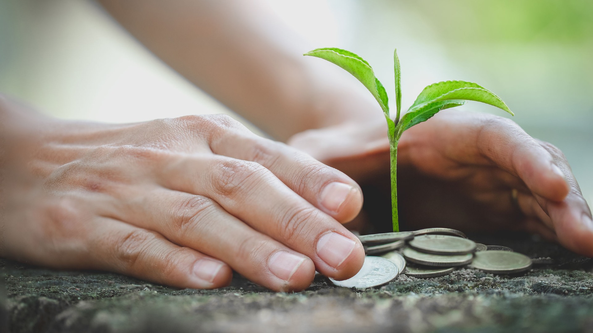 Here are some entry points to a sustainable lifestyle that will be easy not only on the planet but also on your wallet.
