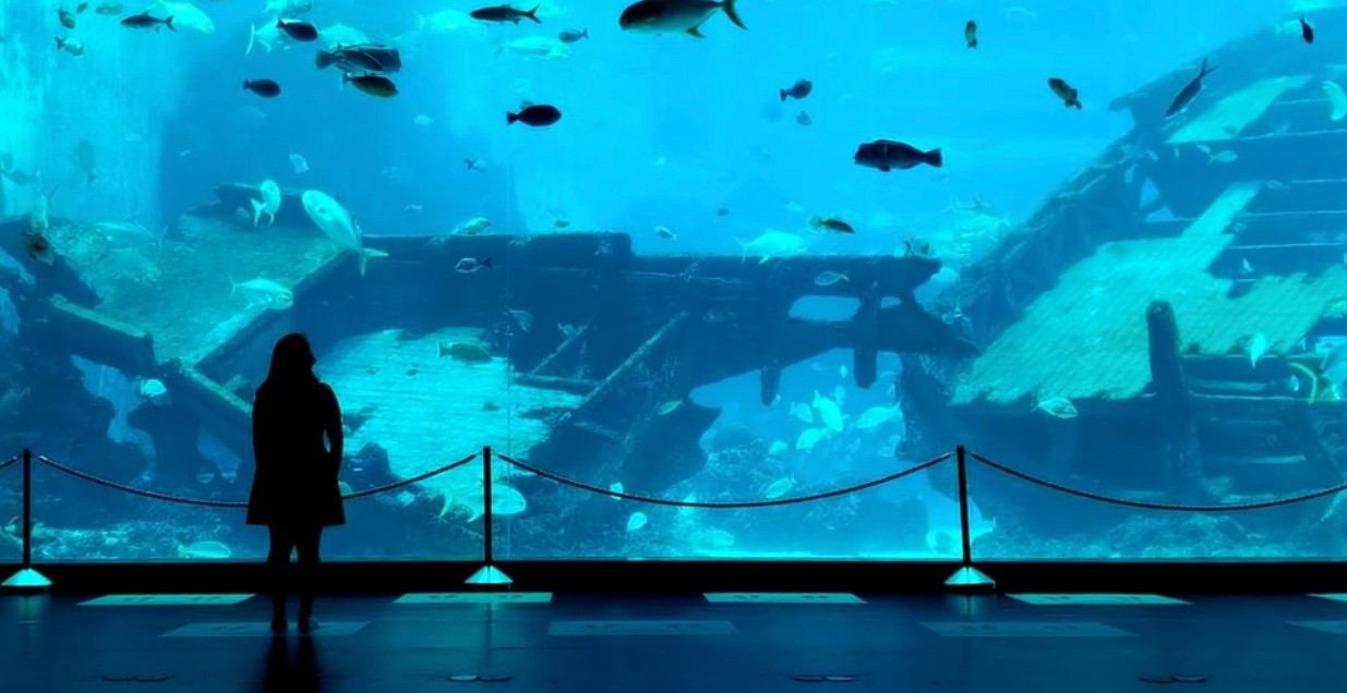 Head down to Spring in the Sea at Resorts World Sentosa’s S.E.A. Aquarium, where you and your family get to partake in the festive vibes!