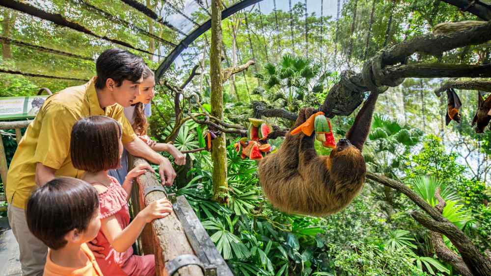 Singapore Zoo has zones like Fragile Forest that bring you face to face with fascinating wildlife specimens.