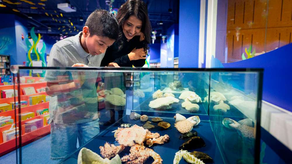 Kid-friendly libraries have more to offer than just books, from storytelling sessions to fun workshops, art and craft activities and more.