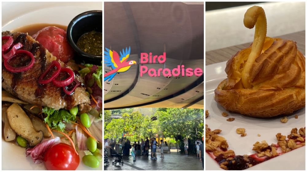 Theme park food at Bird Paradise, Mandai Wildlife Reserve