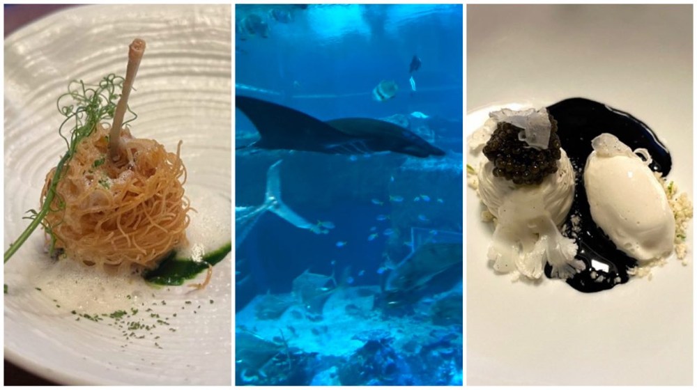 Where to eat and best food in SEA Aquarium, Singapore.