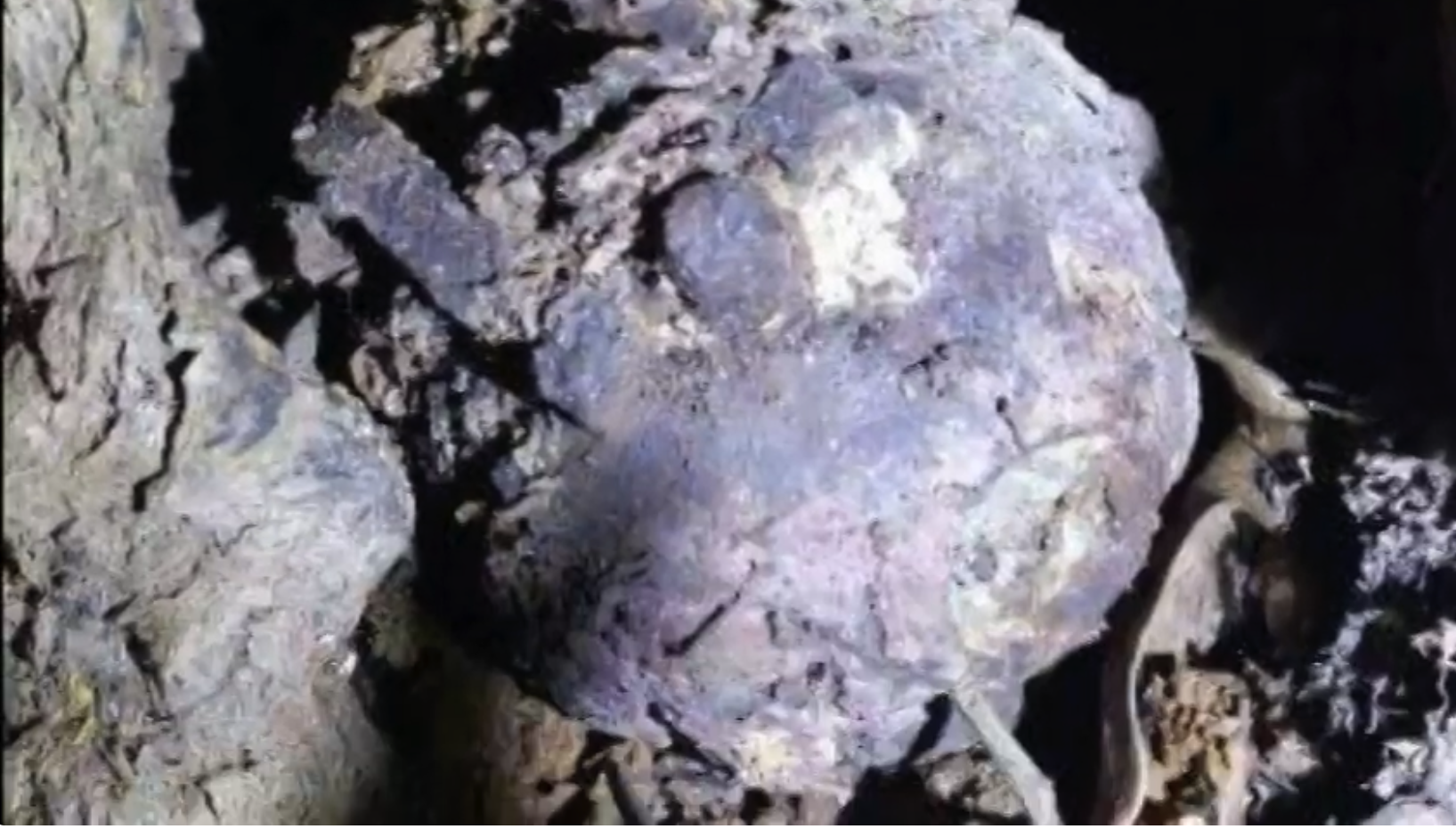 outram WWII war relic outram WWII war relic