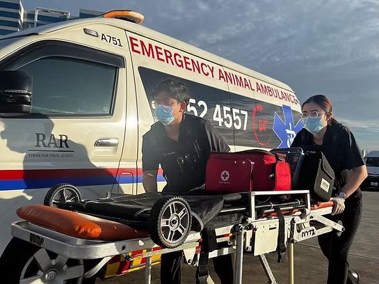 Benjamin Burke_Royal Animal Rescue_ambulance