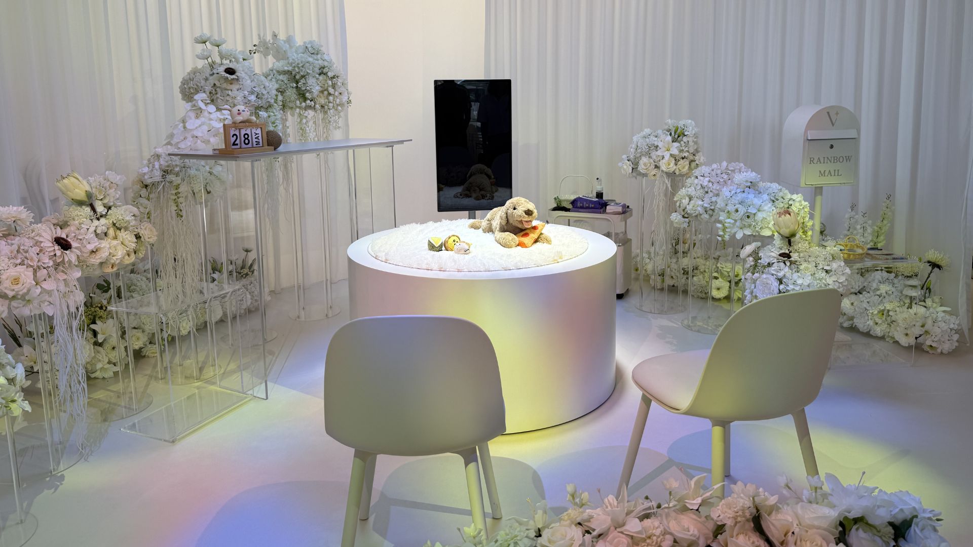 everpet_gardenroom