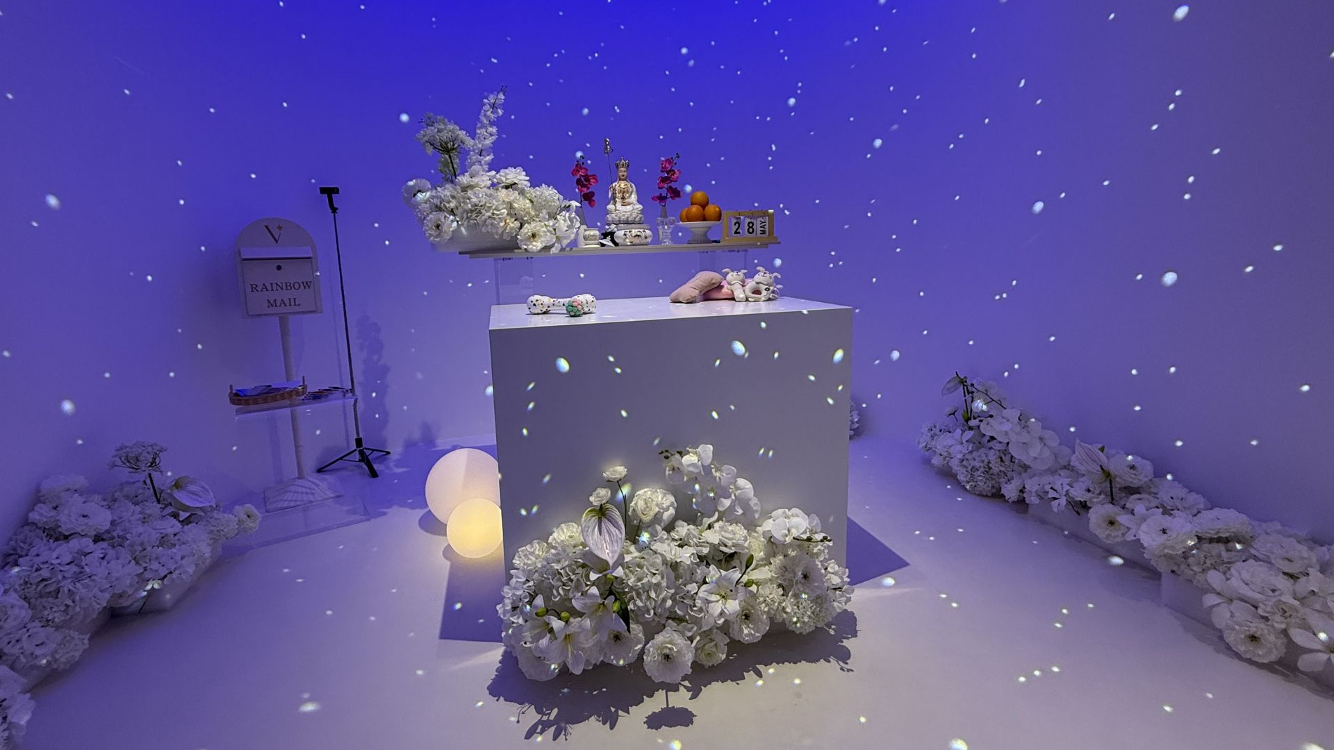 everpet_starryroom
