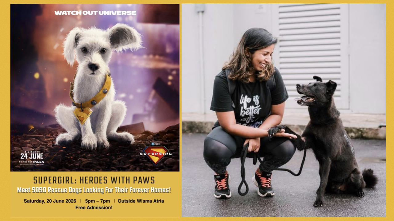 heroesWithPaws.001